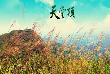 登天堂顶赏秋色 广州最高峰 海拔1210米 挑战 唱征服（1日行程）