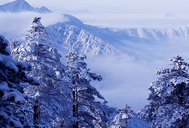 西岭雪山千秋雪 安仁古镇（2日行程）