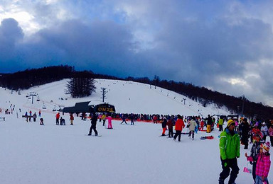 日本北海道小樽ONZE滑雪场一日游 适合初学者（1日行程）