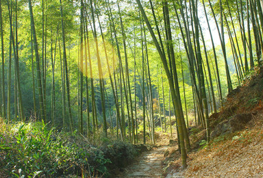 端午活动 徒步上青古道 寻找兰若寺 竹海觅芳踪 偶遇聂小倩（1日行程）