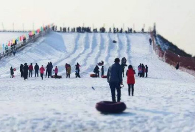 菩提岛滑雪 月坨岛温泉豪华休闲自驾游（2日行程）