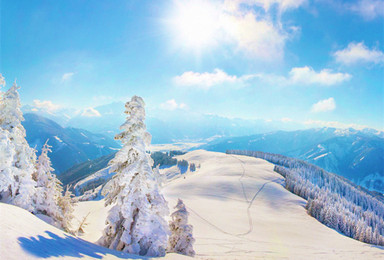 1月15日新疆天山行者俱乐部邀您南山牧场 赏雪景 滑野雪（1日行程）