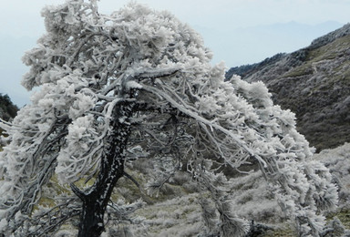 登山徒步 重装 挑战华东第三虐三尖 可轻装（3日行程）