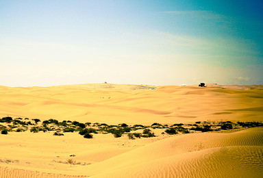 在库布齐 从此爱上沙漠（7日行程）