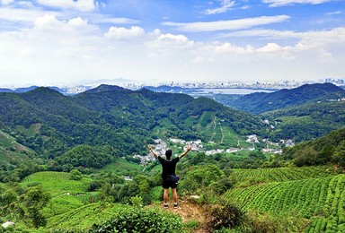 西湖群山 从九溪到茅家埠 徒步十里琅珰 春天茶田步道美妙行（1日行程）