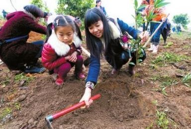 长江上游公益植树活动 12岁以下小孩不占床位费用全免（2日行程）
