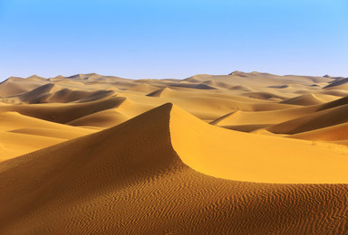 行走的力量 库布齐沙漠东线徒步穿越（4日行程）