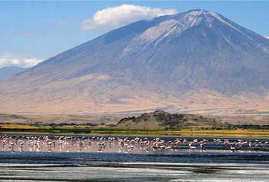 坦桑尼亚 全年多起 曼雅拉湖 恩戈罗恩戈罗火山（9日行程）