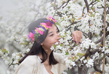 成都雪中情户外 碧水蓝天冶勒湖 九襄梨花十里香（2日行程）