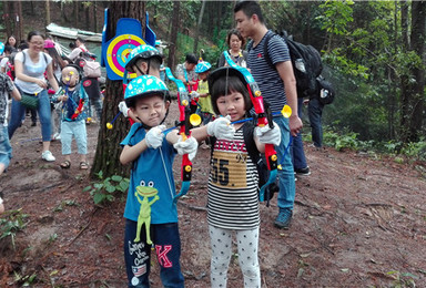 广州大型亲子植树节活动 哪里可报名 海珠周边亲子游（1日行程）