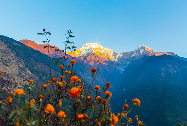 最美的日出 尼泊尔poonhill不恩山小环线徒步（8日行程）