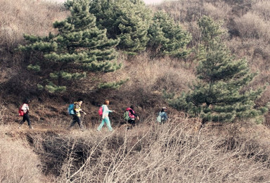 登京西北山峰 燕羽山 品京郊著名宴席 牛肚宴 徒步踏春活动（1日行程）