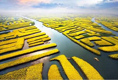 清明 大巴 烟花三月下扬州 乌镇 兴化垛田油菜花(4日行程) 清明 大巴 烟花三月下扬州 乌镇 兴化垛田油菜花(4日行程)