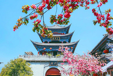 来一场风花雪月之旅 香格里拉 普达措 梅里雪山 大理洱海（6日行程）