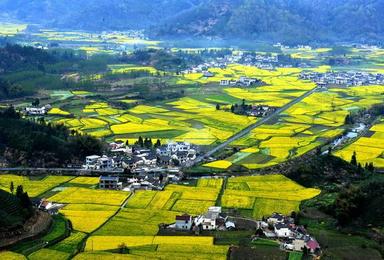 行摄最美婺源油菜花梯田 观婺源徽派建筑 登秀美三清山(4日行程) 行摄最美婺源油菜花梯田 观婺源徽派建筑 登秀美三清山(4日行程)