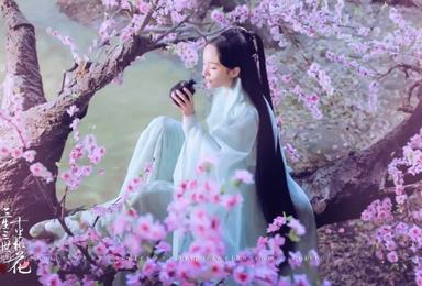 三生三世十里桃花 十里紫荆花长廊 赏金华源东千亩桃花(2日行程) 三生三世十里桃花 十里紫荆花长廊 赏金华源东千亩桃花(2日行程)