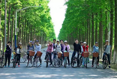包车前往 最美骑行路线 横沙岛环岛骑行 户外徒步(1日行程) 包车前往 最美骑行路线 横沙岛环岛骑行 户外徒步(1日行程)