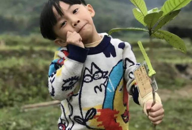带孩子遇见不一样的生态崇明岛 西沙湿地休闲亲子游(1日行程) 带孩子遇见不一样的生态崇明岛 西沙湿地休闲亲子游(1日行程)