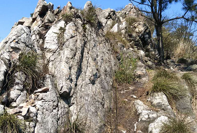 探索杭州龙坞古道(1日行程) 探索杭州龙坞古道(1日行程)