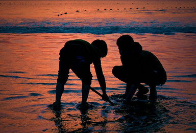 檀头山岛激情一夏 沙滩漫步嬉水 捉螃蟹捡贝壳 海岛篝火晚会（2日行程）