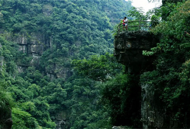 乐昌九峰赏桃花穿越大峡谷泡丽宫温泉休闲游（3日行程）