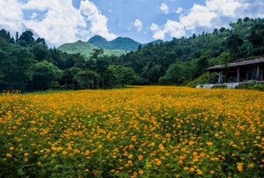 户外拓展训练有什么意义 体育东路第三极户外拓展培训（1日行程）