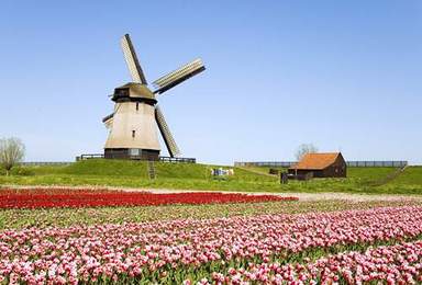 高端骑游路线 明年春天骑游荷兰 欣赏花园国家（9日行程）