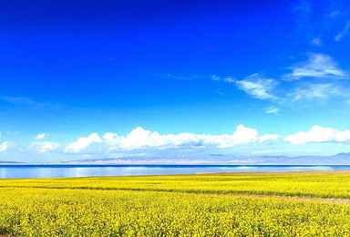游览中国最美湖泊 青海湖（1日行程）