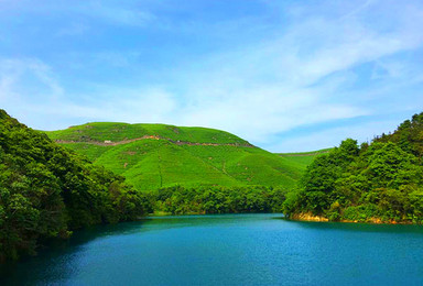 寻访宁波第一千年古道 大嵩岭古道亲采绿茶咯（1日行程）