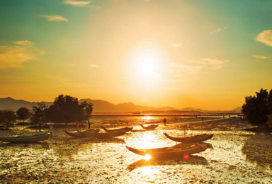 相约美丽的惠东盐洲岛拍日落滩涂 观鹭鸟 听海浪声声（2日行程）