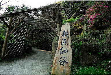 桃园仙谷赏瀑徒步 登山 一线天 鸳鸯槐 看最壮观的高山流水(1日行程) 桃园仙谷赏瀑徒步 登山 一线天 鸳鸯槐 看最壮观的高山流水(1日行程)