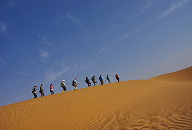 五一 腾格里沙漠50公里徒步 体验沙漠豪情精品（3日行程）