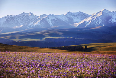 向着春暖花开远方流浪 新疆伊犁 喀拉峻 库尔德宁 徒步穿越（9日行程）