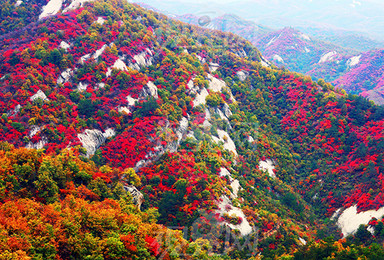 线路定制 稻城亚丁 川藏线 九寨沟 贡嘎山 四姑娘山（1日行程）