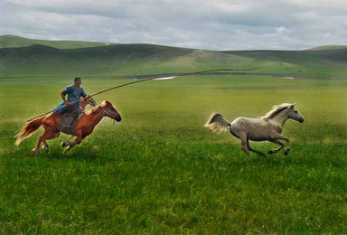 呼伦贝尔 中俄界河 骑马穿越 天堂草原 湿地探秘舒适之旅（6日行程）