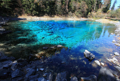 九寨沟MF 黄龙 四姑娘山 甲居藏寨 花湖 九区黄河 长坪沟（8日行程）