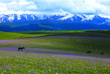 最美天山环线 感受不一样的新疆风光摄影（9日行程）