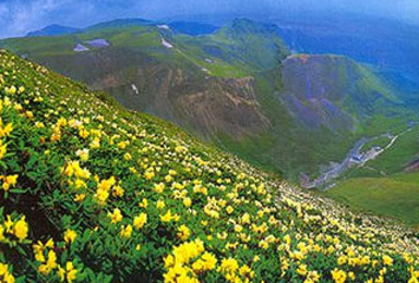 端午 拼团 出游长白山(3日行程) 端午 拼团 出游长白山(3日行程)