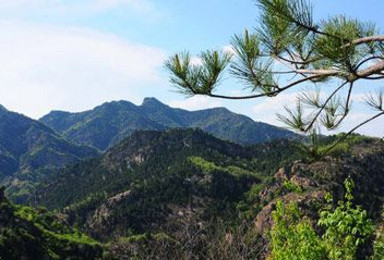 京郊小黄山 云蒙山森林公园 登山踏青 休闲摄影（1日行程）