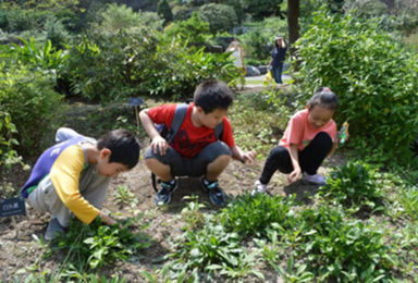 探秘长白山 让孩子成为大自然的精灵 亲子活动（5日行程）