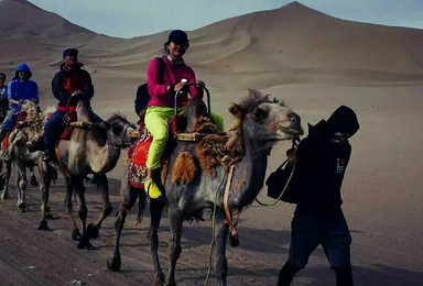 敦煌葛老大沙漠之舟 骆驼骑乘 沙漠露营 烧烤大套餐 成人（1日行程）