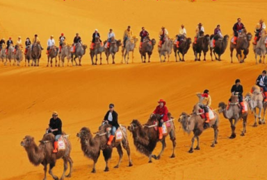 用脚步丈量沙漠 两天一夜骆驼 徒步 露营套餐（2日行程）