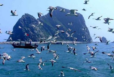 端午 拼团 出游 蓬莱长岛 撒欢品海鲜大餐(4日行程) 端午 拼团 出游 蓬莱长岛 撒欢品海鲜大餐(4日行程)