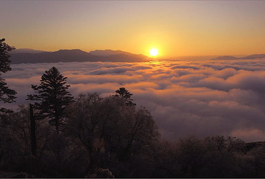 萨伊拉姆神山 独家线路 高山草甸 星空 云海 遍地山花（2日行程）