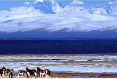 西藏拉萨 阿里大北线自驾游（25日行程）