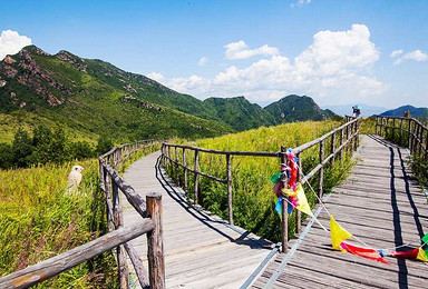 黄龙山庄 空中草甸 云中草原（1日行程）