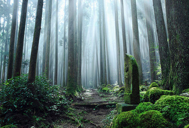 熊野古道丨穿越千年的修行之旅（7日行程）