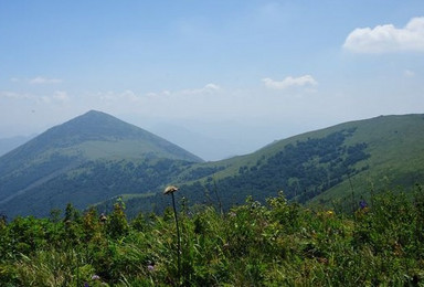 娘子山锁阳关1950米高山草甸繁花盛开免费烤串免费羊肉面（1日行程）