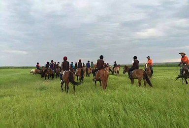 敖鲁古雅使鹿部落 拜访华俄后裔 骑马看湿地 行走中俄边防（6日行程）