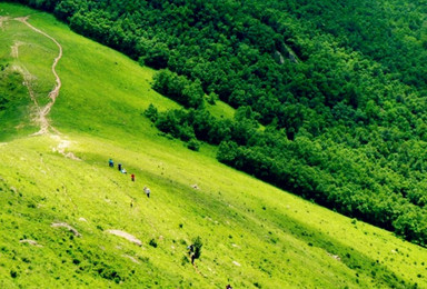 登北京最高峰东灵山2303米 高山草甸 清凉一夏（1日行程）